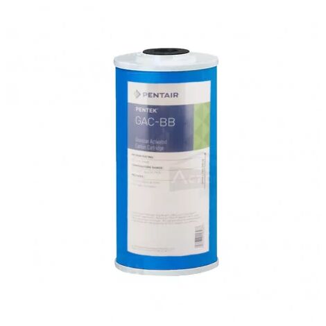 Filtre Pentair GAC-BB 10 Pouces