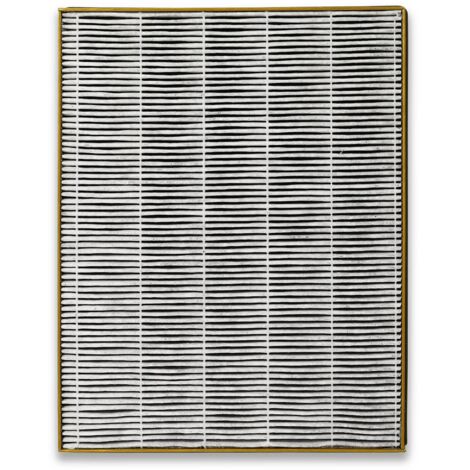 Filtre pour purificateur d'air Toshiba CAF-H30(W) CAF-X50XPL