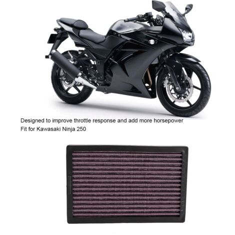Filtre Purificateur d'Air du Moteur pour Kawasaki Ninja 250 et Z300 (296)