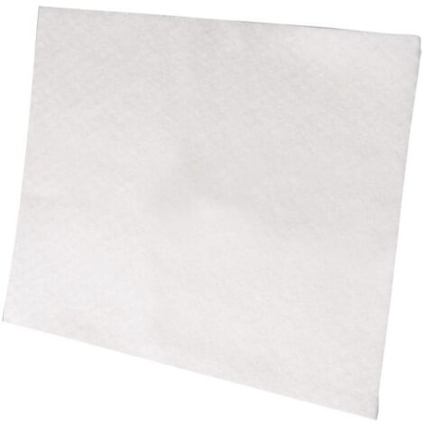 FILTRE SECURITE pour PIECES ASPIRATEUR NETTOYEUR PETIT...