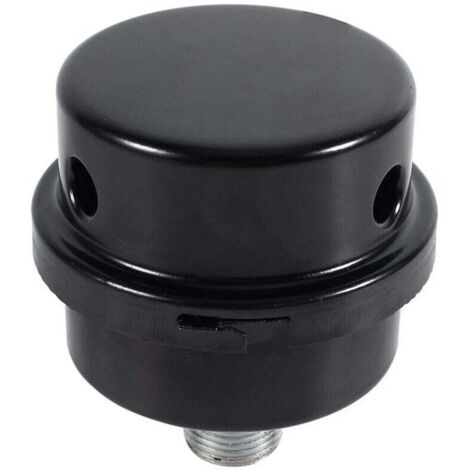 Filtre Silencieux pour Compresseur d'Air (3/8" Filetage 16mm)