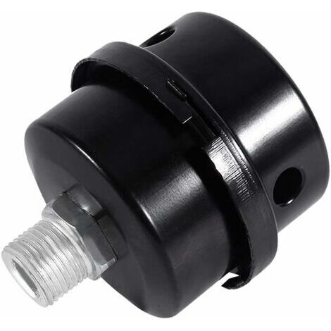Filtre Silencieux pour Compresseur d'Air (3/8" Filetage 16mm)