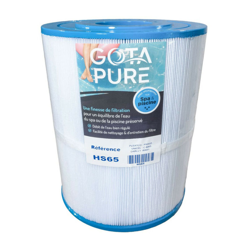 Filtre spa HS65 Gota Pure pour Hotspring Watkins caldera