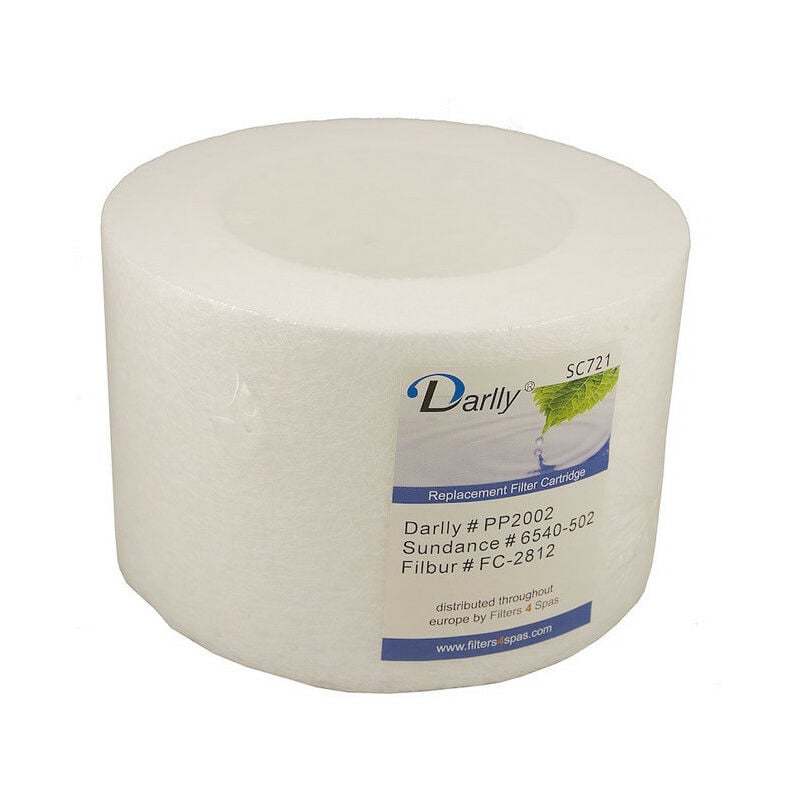 Filtre spa Darlly PP2002 / SC721