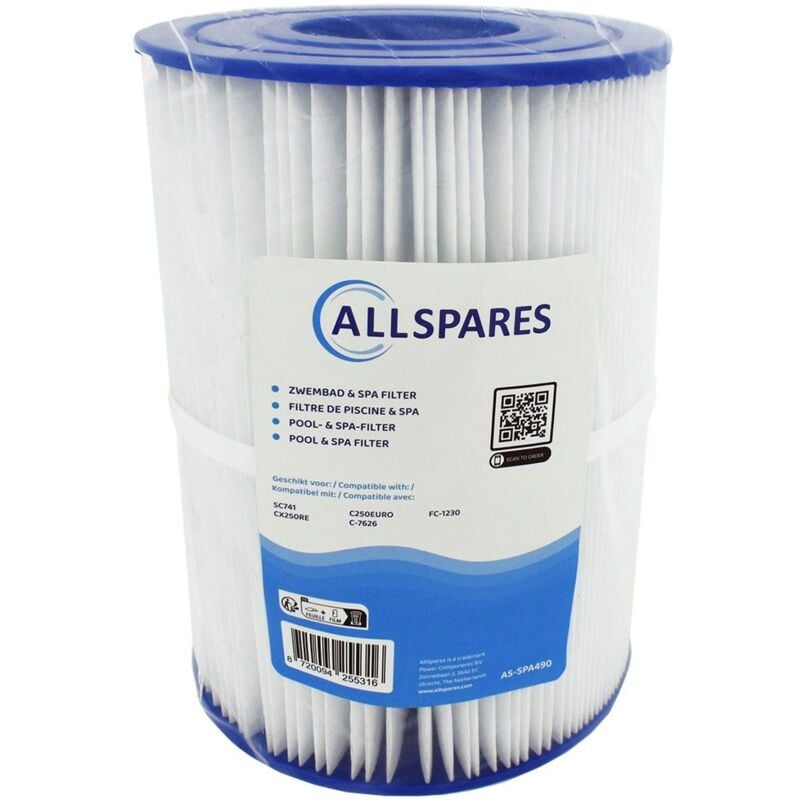 Allspares - Filtre StarClear CX250RE / C250 / C250EURO pour piscine par