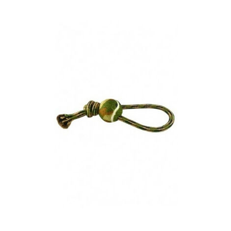 Filtre transparent de robinet de chi fluval