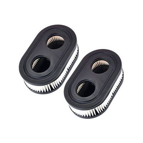 Filtres à air pour Tondeuse pour Briggs & Stratton 798452 593260 5432 5432K,A