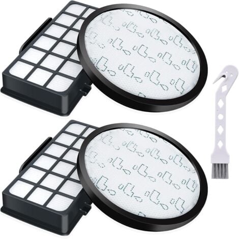 BLUEDEER Filtres pour Rowenta X-Trem Power Cyclonic RO6984EA RO6941EA RO6963EA RO6921EA Aspirateurs, Filtre de Rechange Accessoires ZR006001（2+2）