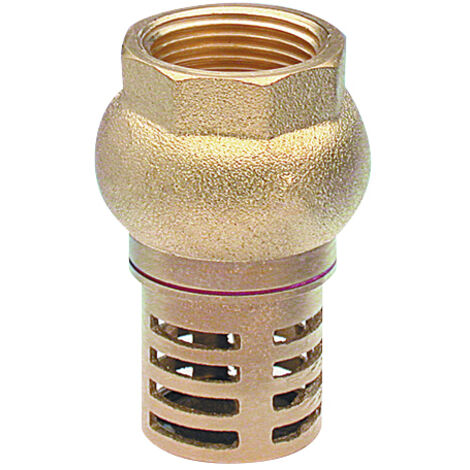 Filtro a conchiglia femmina F3/4' (20x27) NOYON & THIEBAULT - 1320-20L1