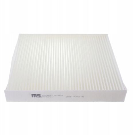 FILTRO ABITACOLO FORD FOCUS C-MAX (DM2)