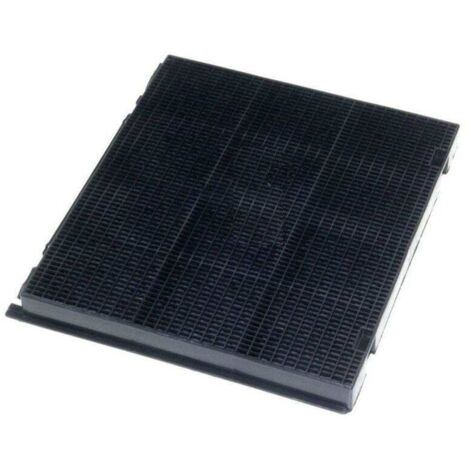 Filtro al carbone Indesit