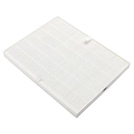 Filtro allergico+ lavabile per Purificatore d'aria Electrolux 9001660415