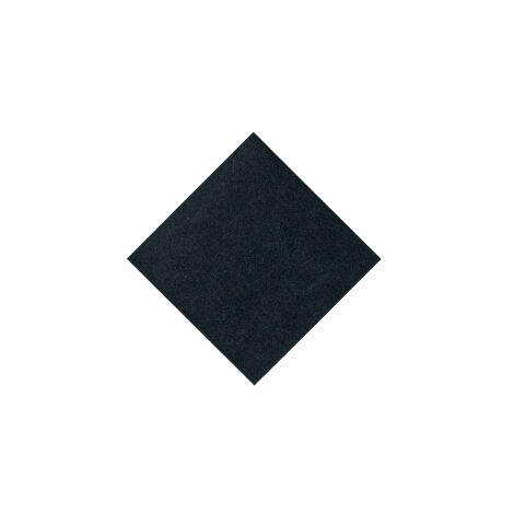 Filtro anteriore originale - Aspirapolvere - BOSCH - 36775