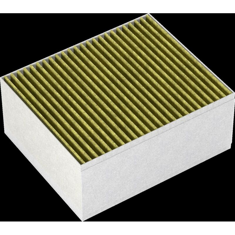 Bosch - Filtro antiodore Clean Air Plus, DZZ1XX1B6