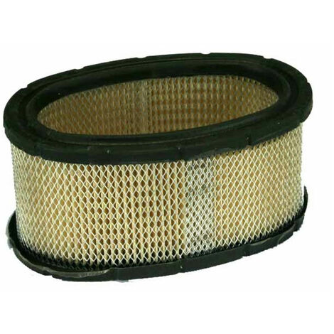 Filtro aria 11 HP verticale 252700, 253700 BRIGGS & STRATTON