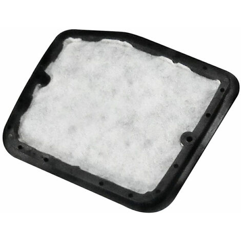 Filtro aria AH242,C242,C344,LE242,M242,T242 ECHO