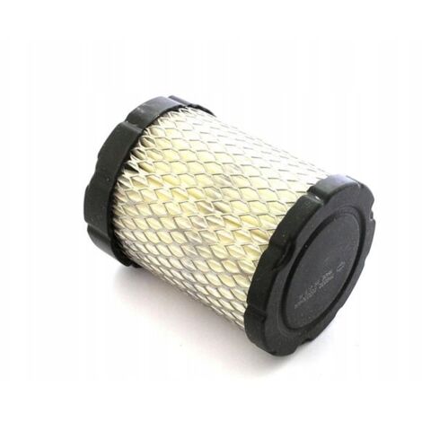 Filtre à Air Pour Briggs & Stratton 613022, 397775, 697152, 698413 - Foto 4