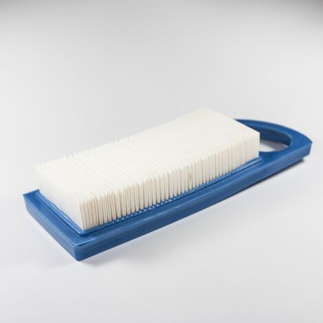Filtro aria Briggs&ampampStratton per motore Intek Avs - 009596
