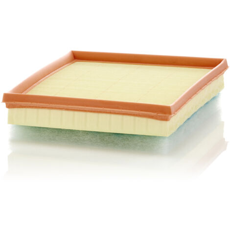 FILTRO ARIA C24017 MANN
