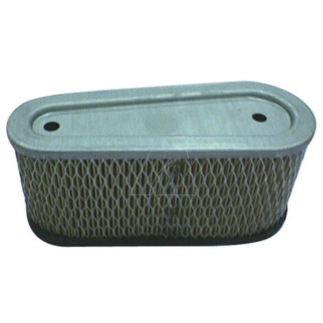 Filtro aria compatibile con motore Tecumseh, sostituisce 36356 Arnold