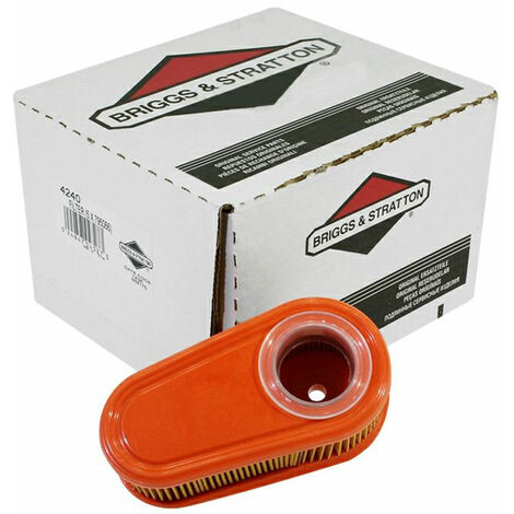 Filtro aria Confezione 5 filtri 795066 BRIGGS &amp STRATTON