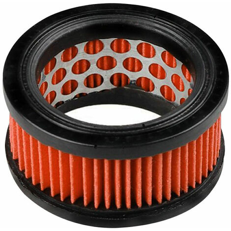 Filtro aria CS440, CS450, CS510, CS520, CS530, CS4400