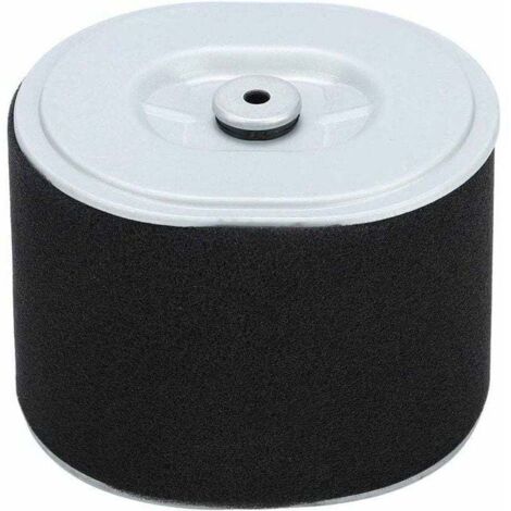 Filtro aria GX390 Filtro aria Filtro aria Af Ze28 Motore GX390 Ricambi per idropulitrice GX390 294, Accessorio di ricambio per filtro aria per tosaerba per motore Hond