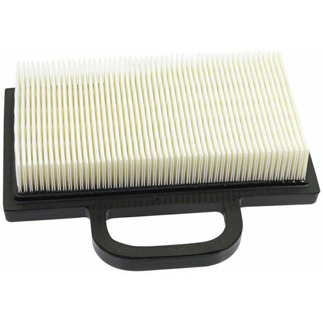 Filtro Aria Intek da 18 a 22 HP bicilindrico BRIGGS &amp STRATTON