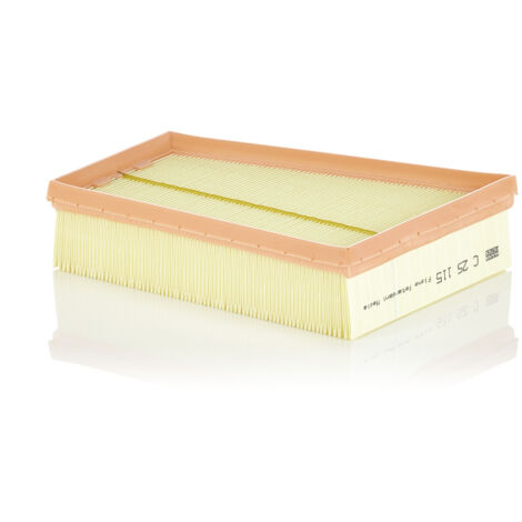 Filtro aria MANN-FILTER C25115