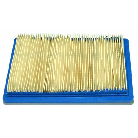 Filtro Aria MAX 40 110700 e 2 Tempi 4 HP 90700 Misure 160 x 114 mm BRIGGS &amp STRATTON