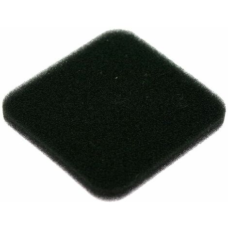 Filtro aria motore atomizzatore KASEI 3WF-16 103x73x15 mm   1E46FP.7-4