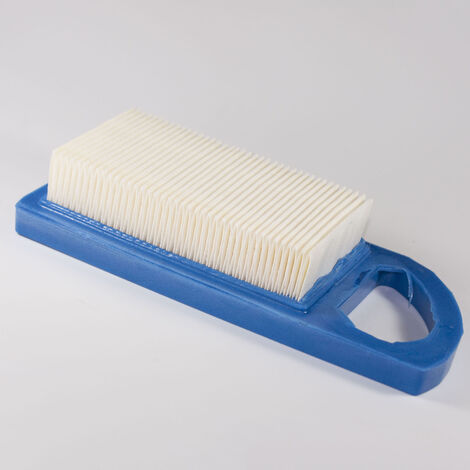 Filtro aria motore Briggson&ampStratton 10 HP - 009804