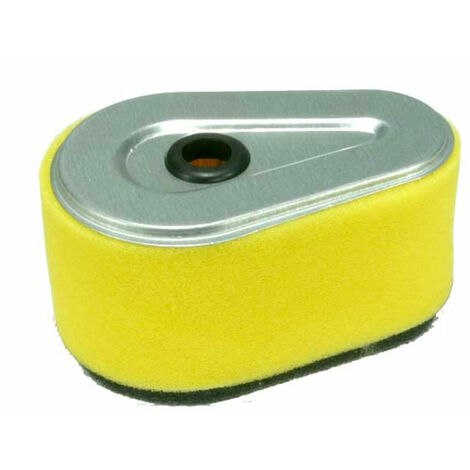 Filtro aria motore KAWASAKI MITSUBISHI FC 150 5 HP Misure 102 x 57 x 55 mm- 310068