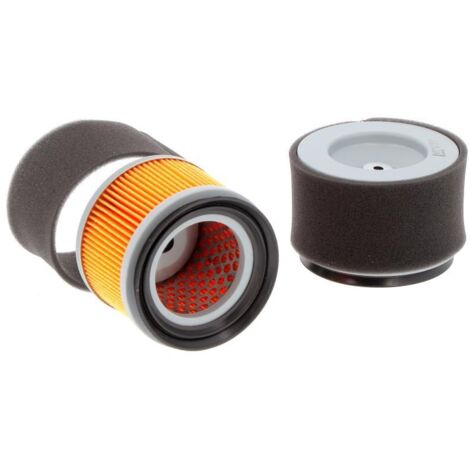 Filtro Aria Motore Kohler Lombardini