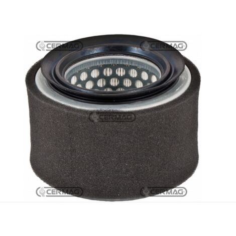 Filtro aria motore macchina agricola LOMBARDINI SERIE IM250 IM300 IM350 2175.239