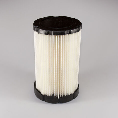 Filtro aria originale B&ampampS per Trattorino Rasaerba con Motore serie 3125 da 344cc di cilindrata - 594201