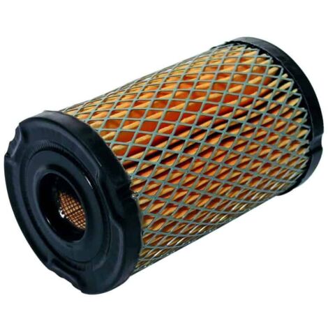 Filtro aria per motore Tecumseh 34700, 34700B