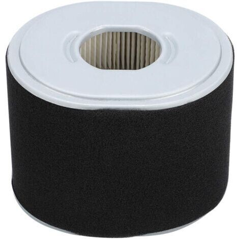 Filtro aria per tosaerba compatibile con Honda GX390 GX340 11 13 CV