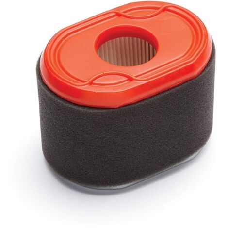 Filtro aria rasaerba tagliaerba tosaerba 796970 BRIGGS&STRATTON 192028 serie 550