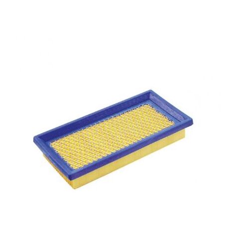 Filtro aria rasaerba tagliaerba tosaerba BRIGGS & STRATTON 126302-0779-H8