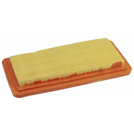 Filtro aria Soffiatore EB 800 KASEI