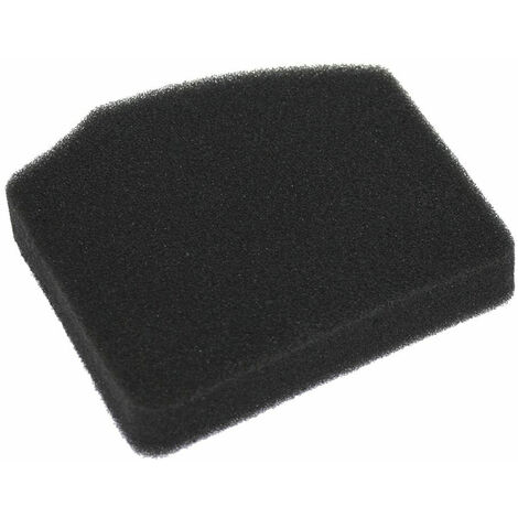 Filtro aria Soffiatore EBV 260 Euro 3 KASEI