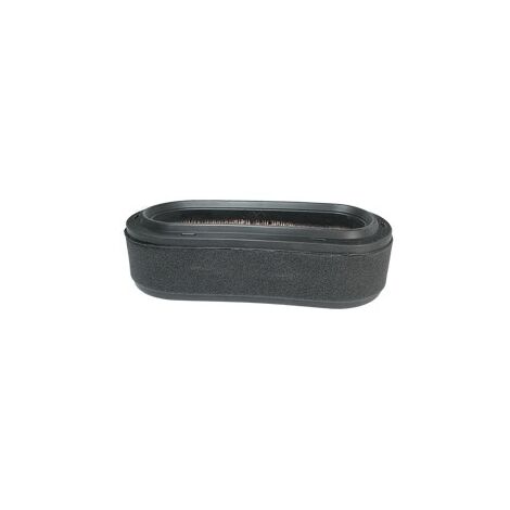 Filtro aria trattorino rasaerba tagliaerba YANMAR 118400-12520 TG 200 GIANNI FERRARI