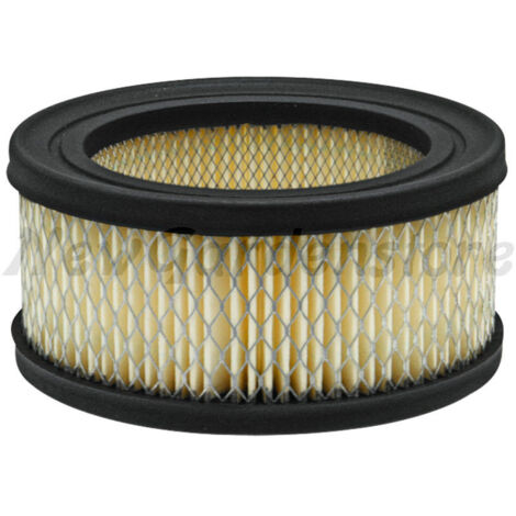 Filtro aria trattorino tagliaerba compatibile BRIGGS & STRATTON 392286