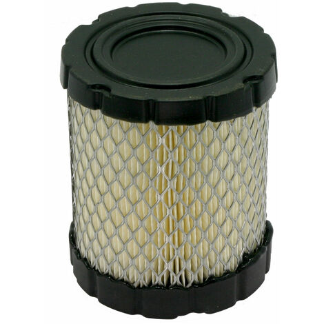 Filtro aria Turf Series 27 e 30 HP bicilindrici verticali BRIGGS & STRATTON