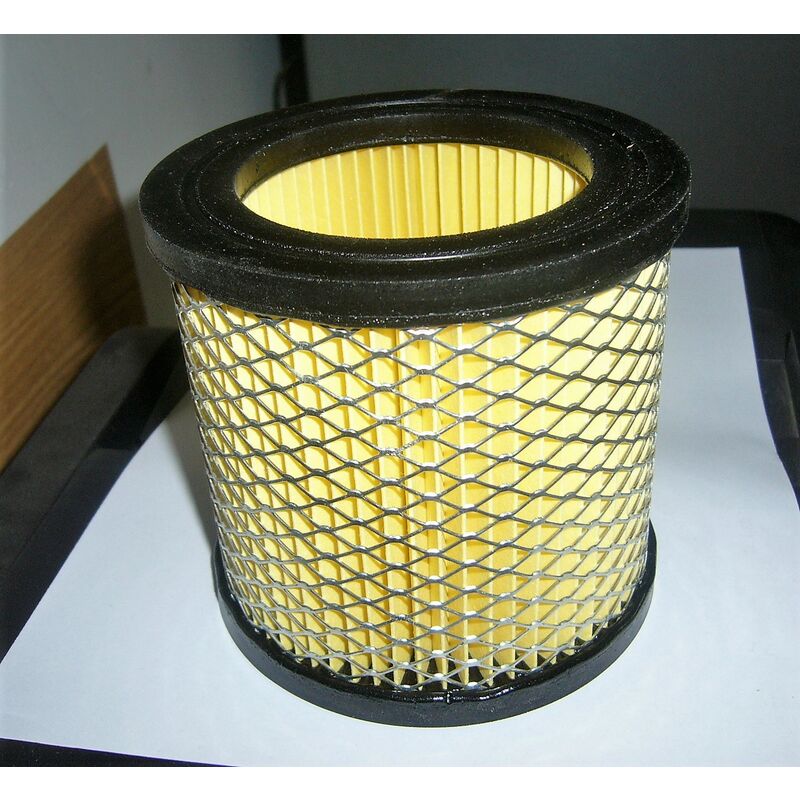 Image of Annovi Reverberi - filtro aspiratore M20 originale 4341680