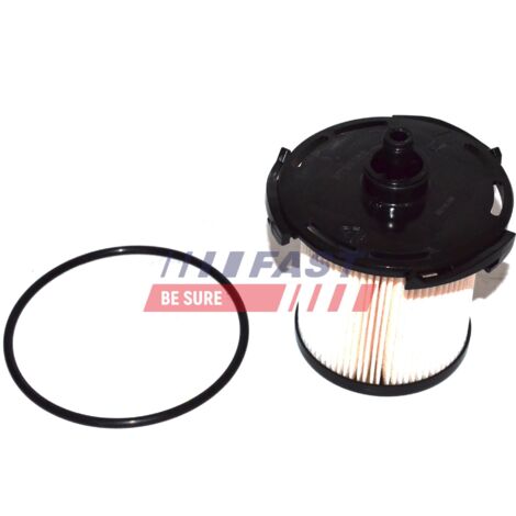 Filtro carburante FT39088 rapido