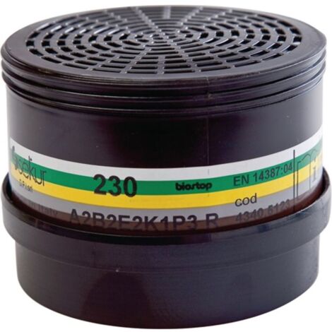 Filtro combinado de rango múltiple 230 A2B2E2K1-P3R D para 2 uds / bolsas EKASTU