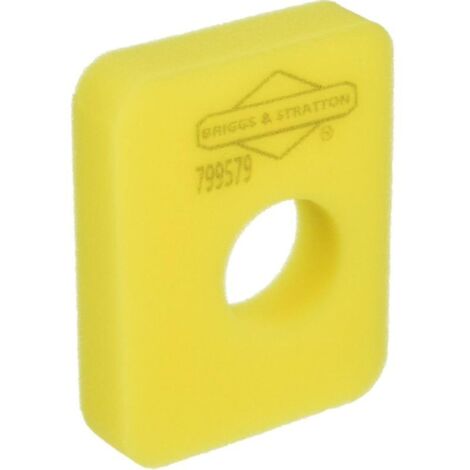 Filtro de aire Briggs & Stratton 799579