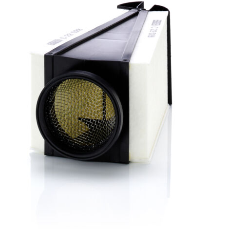 Filtro de aire C22028 Mann